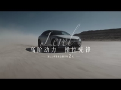 Song L EV 602km four-wheel drive excellence 5 door 5 seat SUV