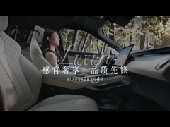 Song L EV 550km beyond 5 door 5 seat SUV