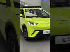 Byd Seagull fluorescent green